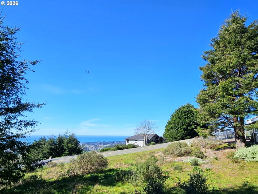 Perched high in one of Brookings' most sought after upscale - photo 8