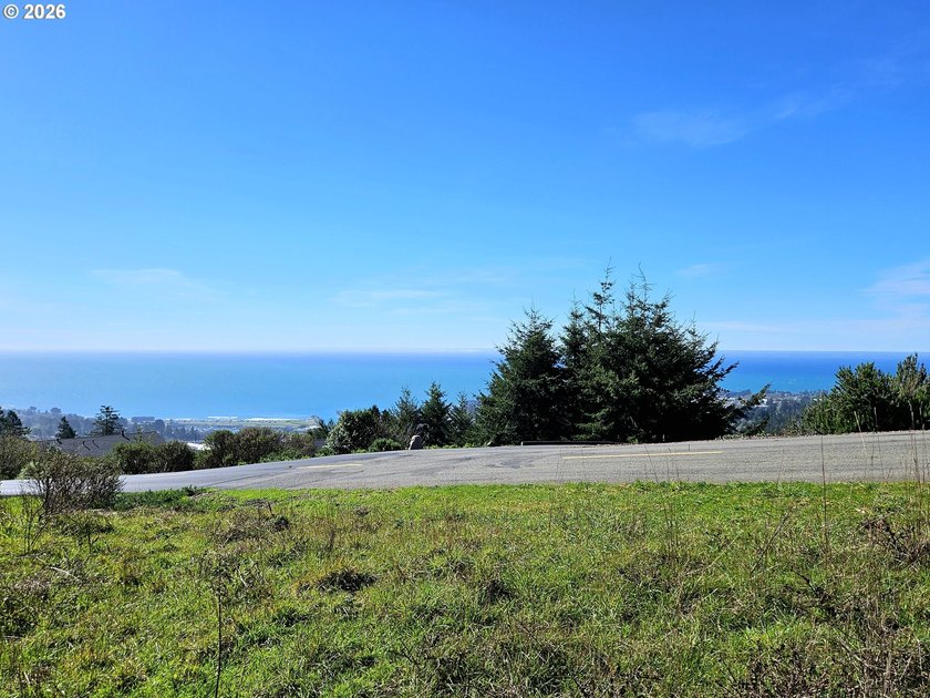 Perched high in one of Brookings' most sought after upscale - photo 10