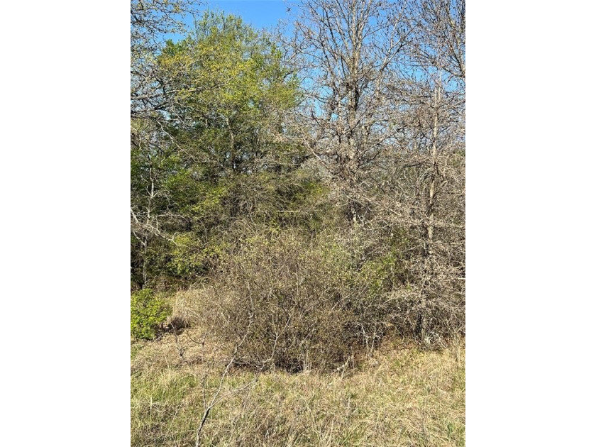 Vacant Lot to build your dream home or vacation home! Bring your - photo 8