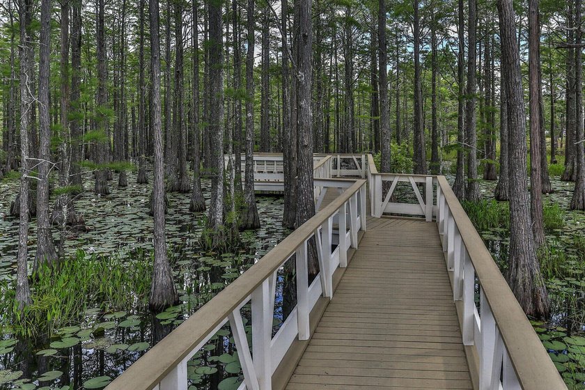 Build Your Beach Home Just Minutes from the Emerald Coast - photo 12