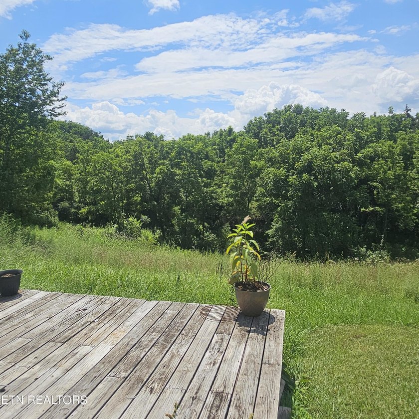 Escape to the peace and quiet of country living in this charming - photo 48