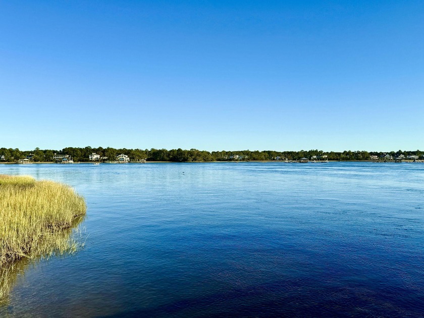 Steps away from the Wando River, 116 Low Tide Court is move-in - photo 54