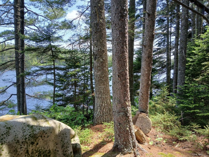 Looking for privacy and a spectacular location for a true - photo 34