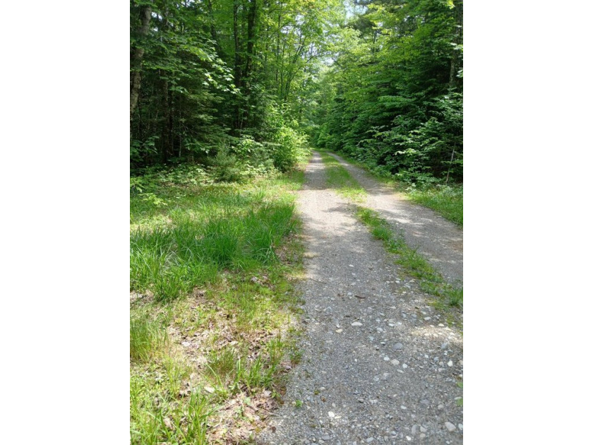Looking for privacy and a spectacular location for a true - photo 35
