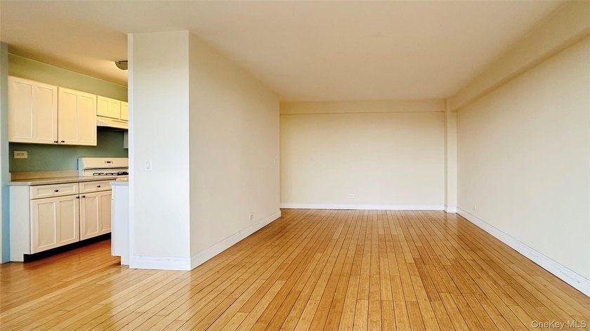 JUST LISTED! MOVE-IN READY 1 BEDROOM, 1 BATH CO-OP IN BRONX NY - photo 11