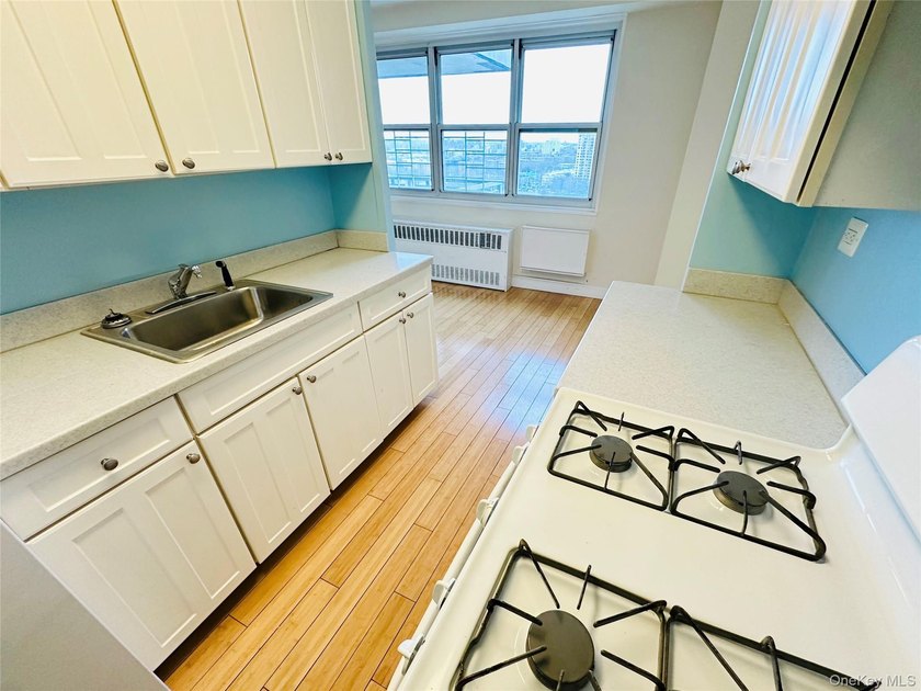 JUST LISTED! MOVE-IN READY 1 BEDROOM, 1 BATH CO-OP IN BRONX NY - photo 16
