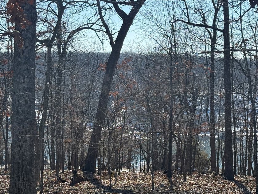 Fall in love with this serene &amp; highly coveted community of - photo 36