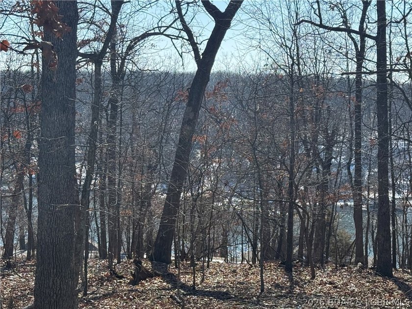 Fall in love with this serene &amp; highly coveted community of - photo 37