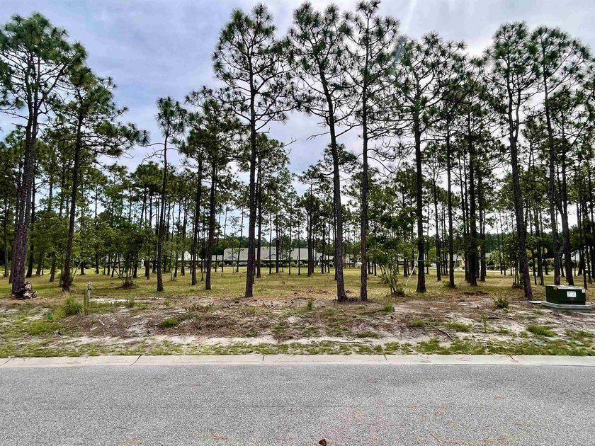 Spacious homesite located in the Waterbrook Woods section of - photo 17