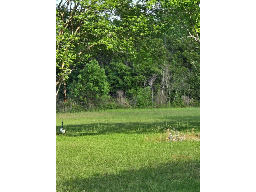 READY TO TO BUILD YOUR DREAM HOME?! THIS 4.319+/- ACRE LAND - photo 11