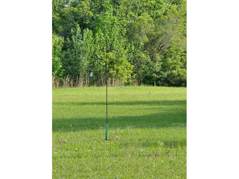 READY TO TO BUILD YOUR DREAM HOME?! THIS 4.319+/- ACRE LAND - photo 12