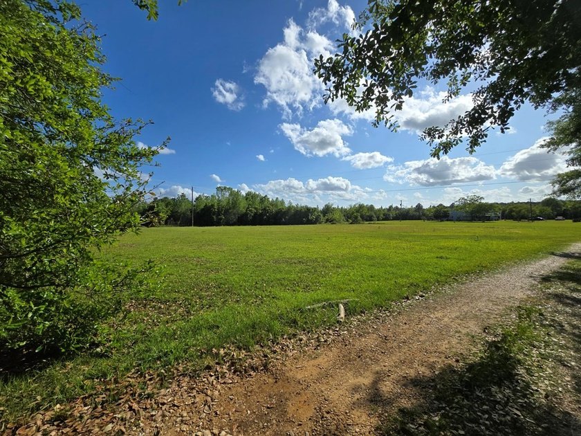 READY TO TO BUILD YOUR DREAM HOME?! THIS 4.319+/- ACRE LAND - photo 14