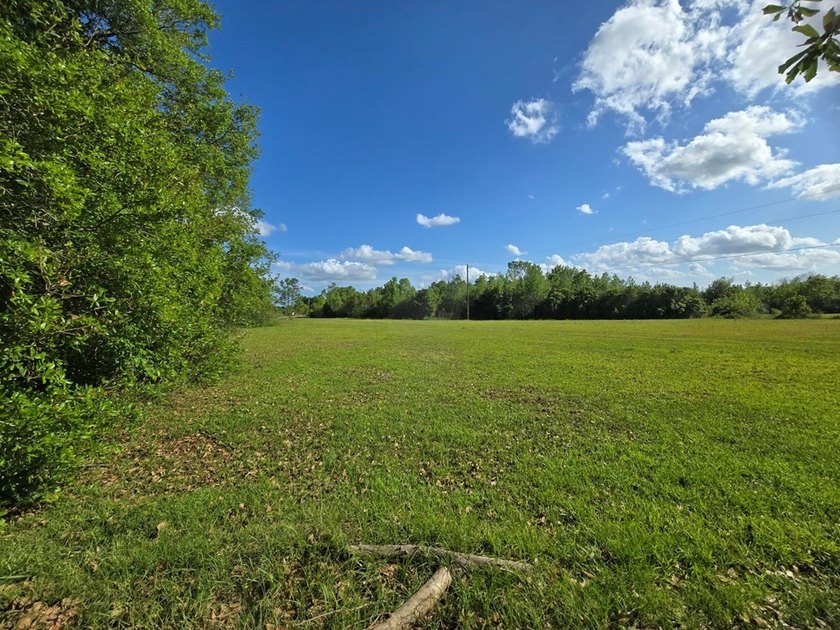 READY TO TO BUILD YOUR DREAM HOME?! THIS 4.319+/- ACRE LAND - photo 15