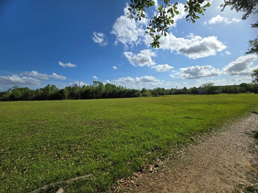 READY TO TO BUILD YOUR DREAM HOME?! THIS 4.319+/- ACRE LAND - photo 16