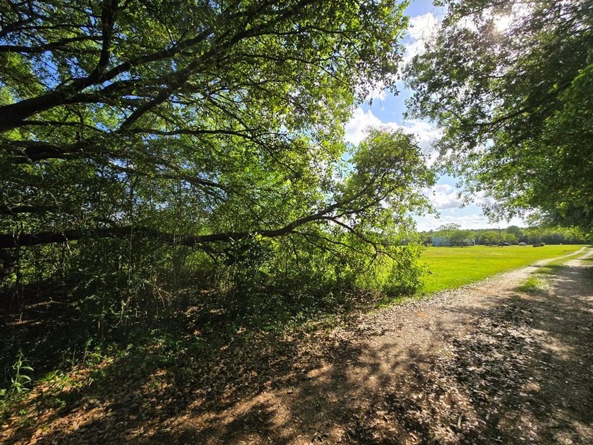 READY TO TO BUILD YOUR DREAM HOME?! THIS 4.319+/- ACRE LAND - photo 21