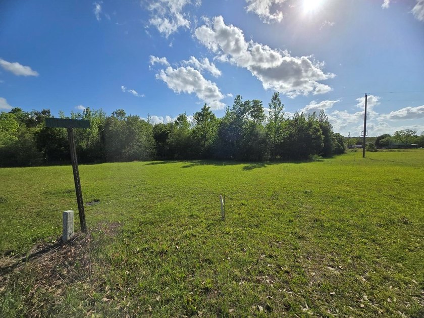 READY TO TO BUILD YOUR DREAM HOME?! THIS 4.319+/- ACRE LAND - photo 24