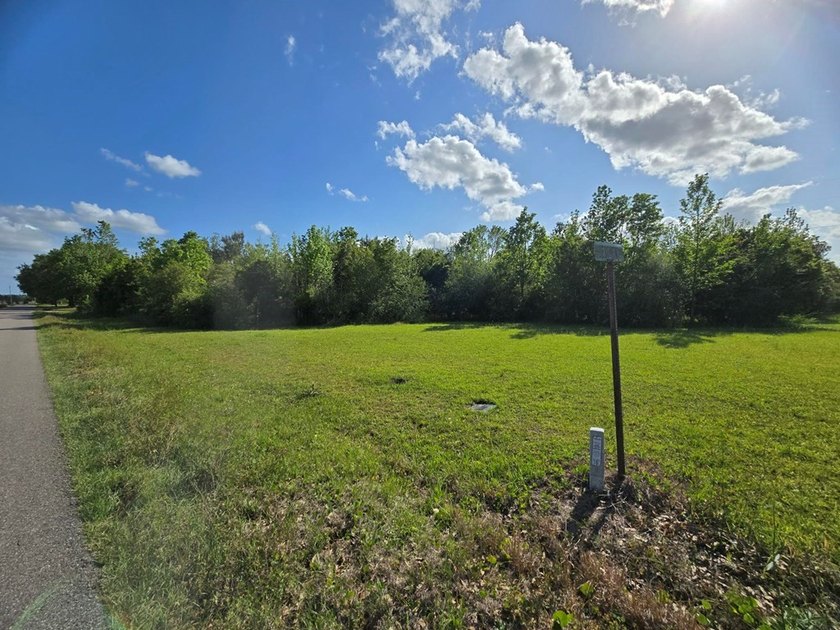 READY TO TO BUILD YOUR DREAM HOME?! THIS 4.319+/- ACRE LAND - photo 25
