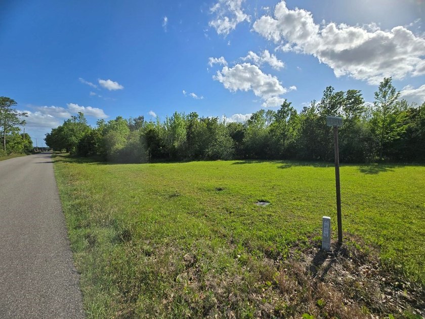 READY TO TO BUILD YOUR DREAM HOME?! THIS 4.319+/- ACRE LAND - photo 26