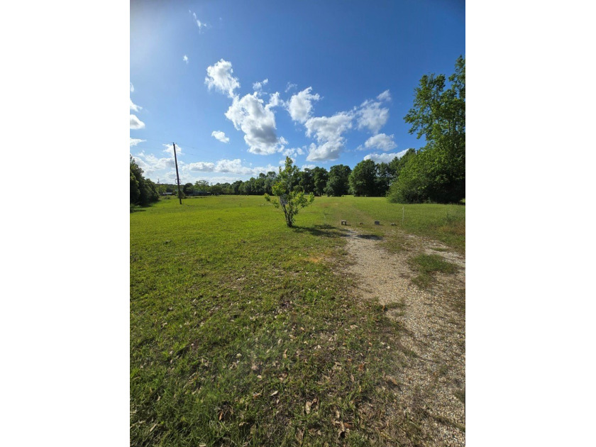 READY TO TO BUILD YOUR DREAM HOME?! THIS 4.319+/- ACRE LAND - photo 28