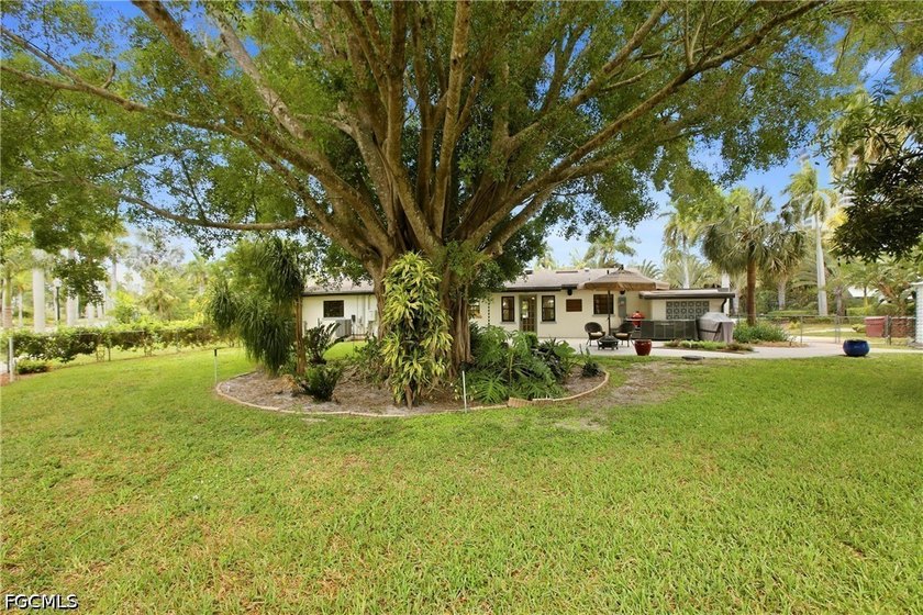 This 3-bedroom, 2-bathroom ranch-style home is set on an - photo 31