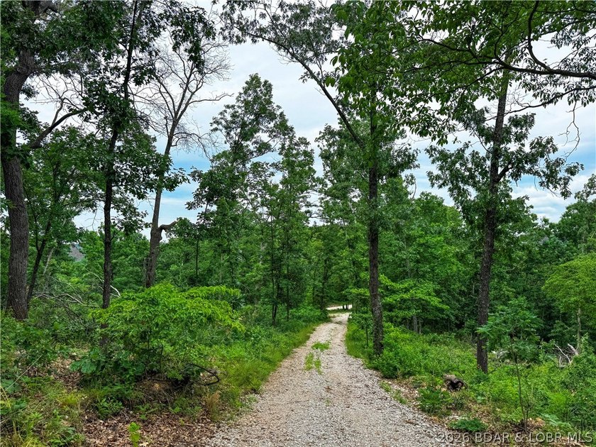 Escape to your own private retreat with this 21.48-acre tract in - photo 13