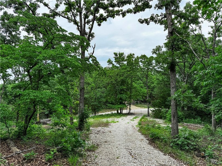 Escape to your own private retreat with this 21.48-acre tract in - photo 14