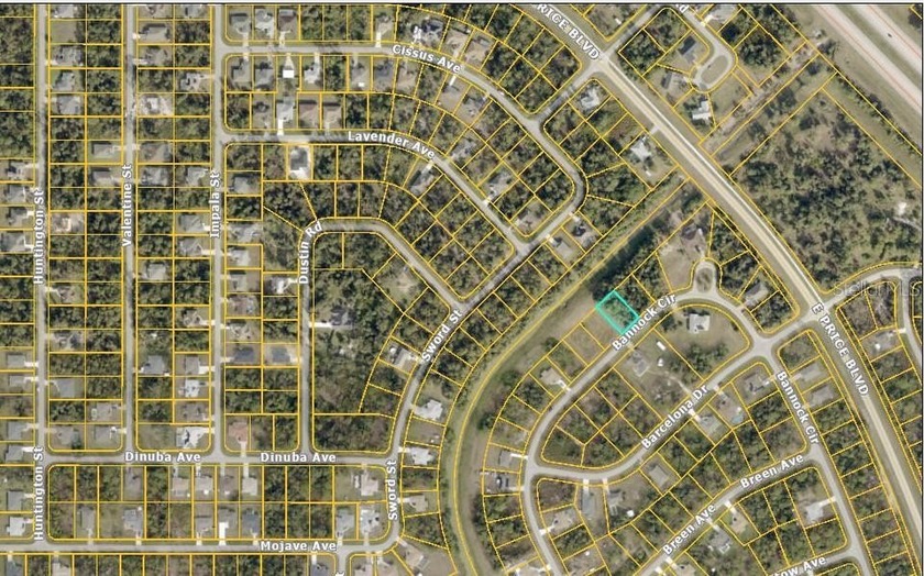 BUILD your DREAM HOME in this well-established North Port - photo 3