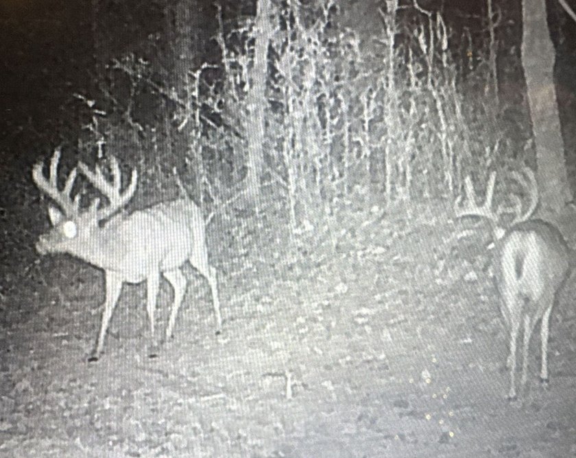 Turn-key hunting camp west of Como! This 177 contiguous acre - photo 13