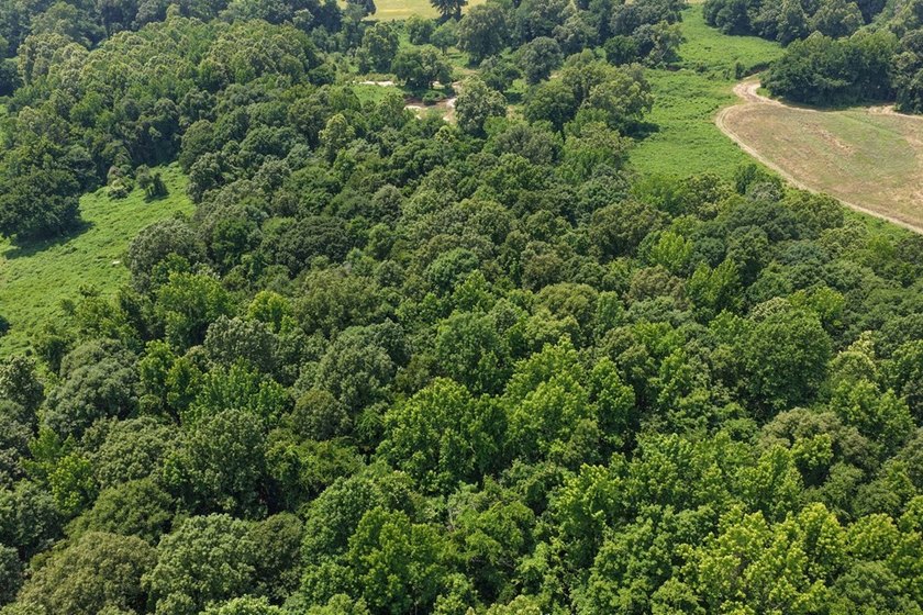 Turn-key hunting camp west of Como! This 177 contiguous acre - photo 18