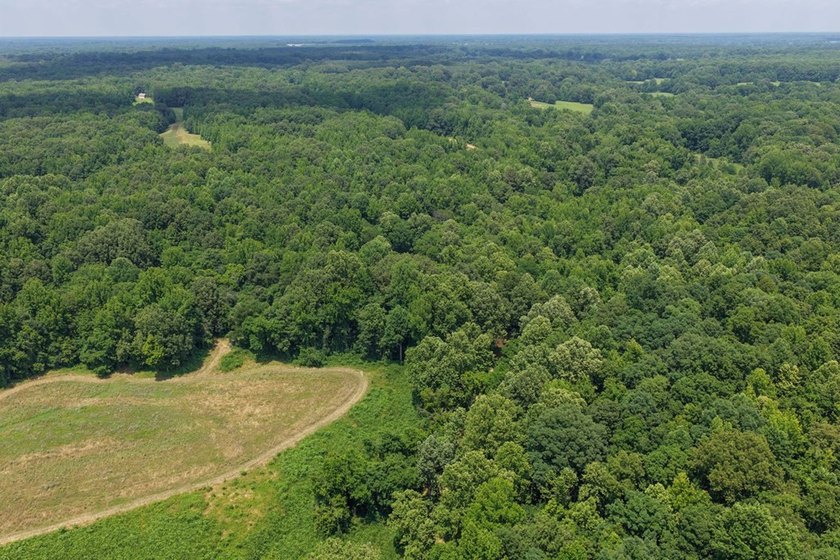 Turn-key hunting camp west of Como! This 177 contiguous acre - photo 22