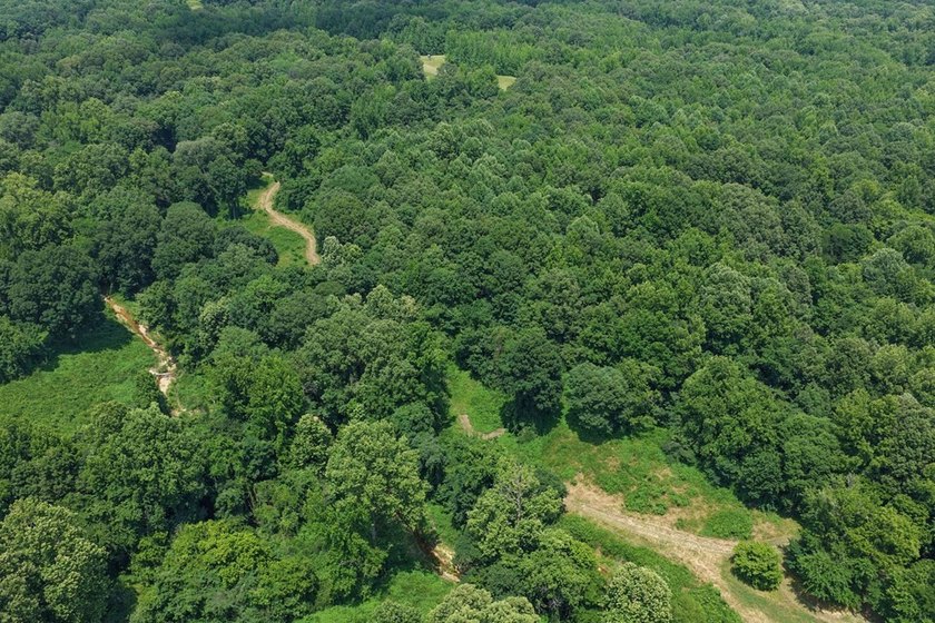 Turn-key hunting camp west of Como! This 177 contiguous acre - photo 23
