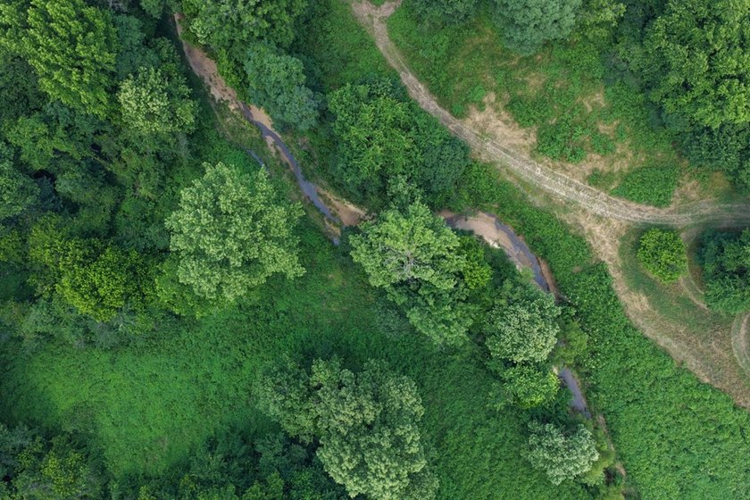 Turn-key hunting camp west of Como! This 177 contiguous acre - photo 25