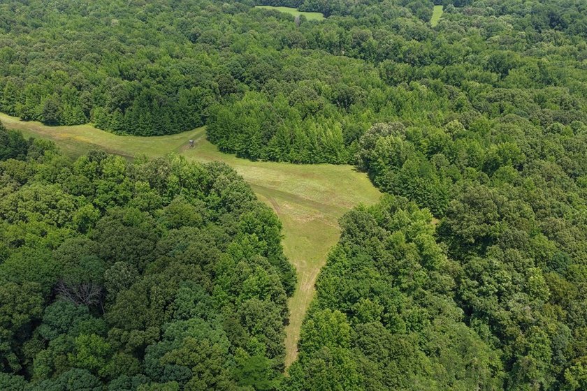 Turn-key hunting camp west of Como! This 177 contiguous acre - photo 28