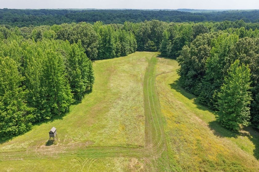 Turn-key hunting camp west of Como! This 177 contiguous acre - photo 30