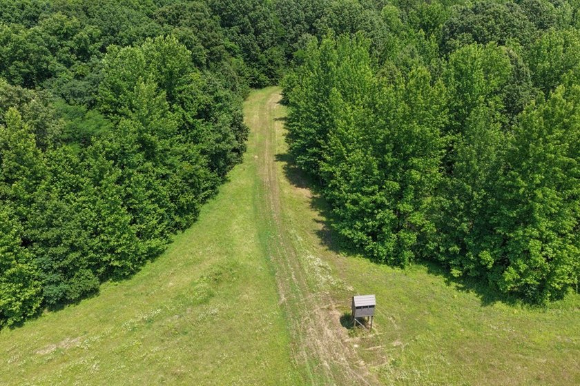 Turn-key hunting camp west of Como! This 177 contiguous acre - photo 31