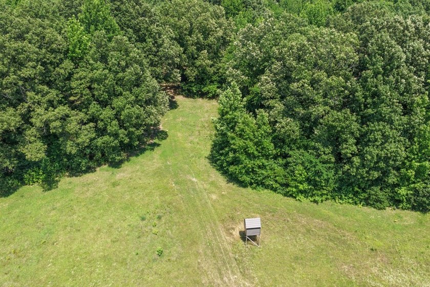 Turn-key hunting camp west of Como! This 177 contiguous acre - photo 36