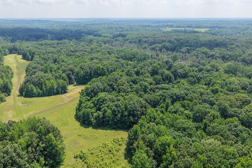 Turn-key hunting camp west of Como! This 177 contiguous acre - photo 39