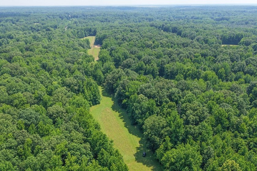 Turn-key hunting camp west of Como! This 177 contiguous acre - photo 47