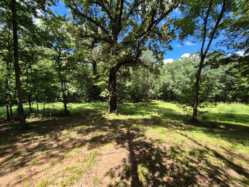 Investor Opportunity - Highway Frontage Shopdominium with - photo 37