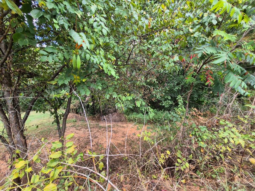 Investor Opportunity - Highway Frontage Shopdominium with - photo 38