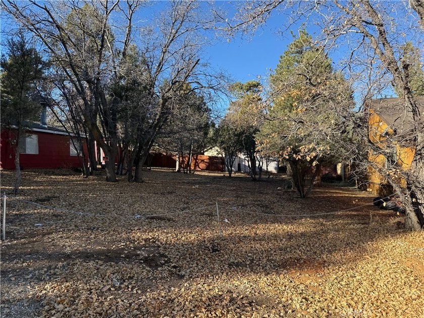 Beautiful level lot just yards away from National forest hiking - photo 3