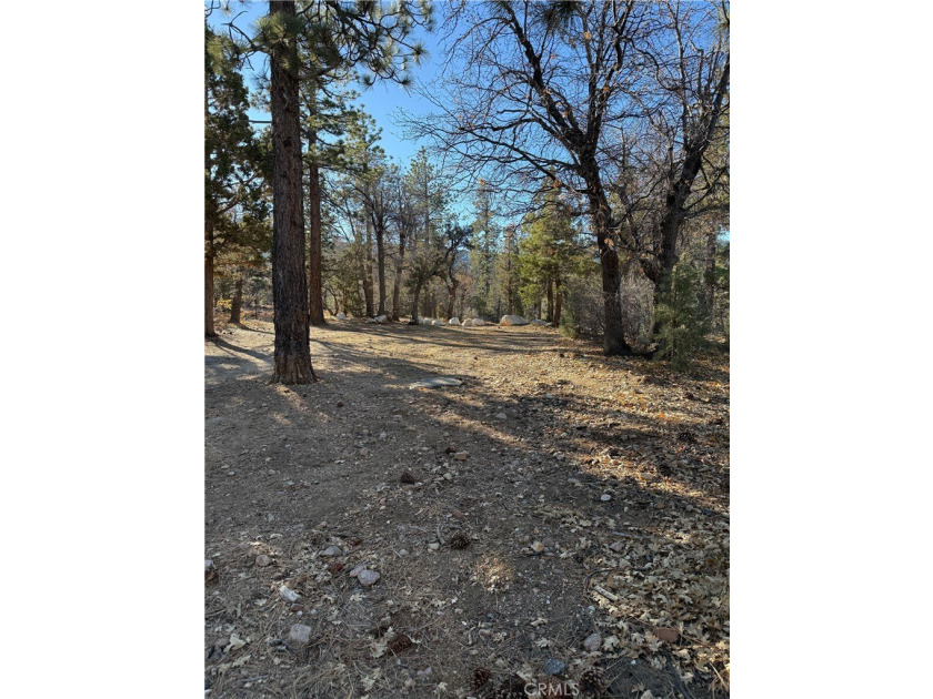 Beautiful level lot just yards away from National forest hiking - photo 4