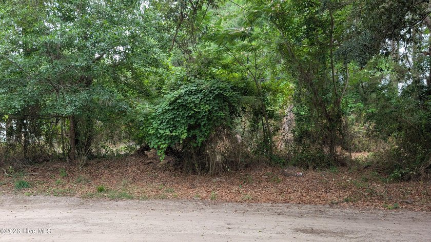 Huge Price Reduction for Quick Sale! Flat, half-acre - photo 3