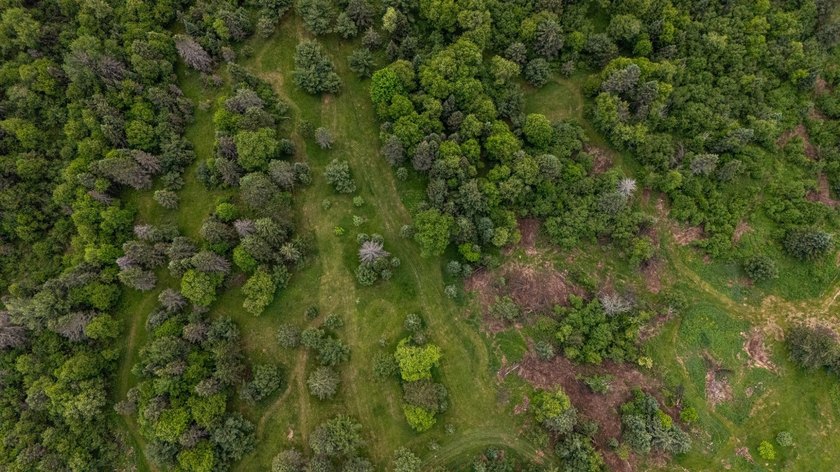 Set on nearly 25 acres along the scenic Deerskin River in Phelps - photo 46