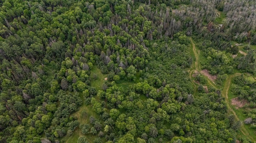 Set on nearly 25 acres along the scenic Deerskin River in Phelps - photo 47