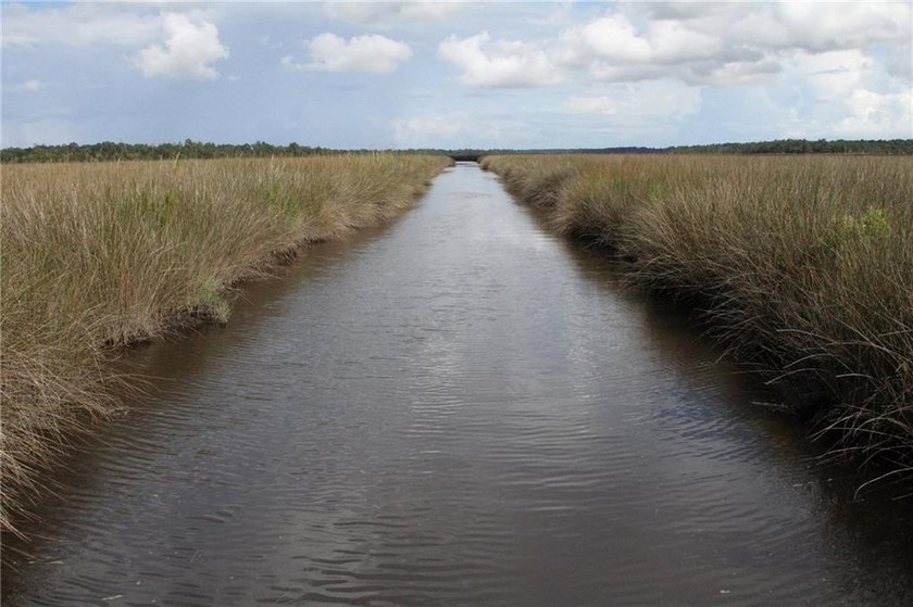 Rare Coastal Development Opportunity with River Access - 2,975 - photo 6