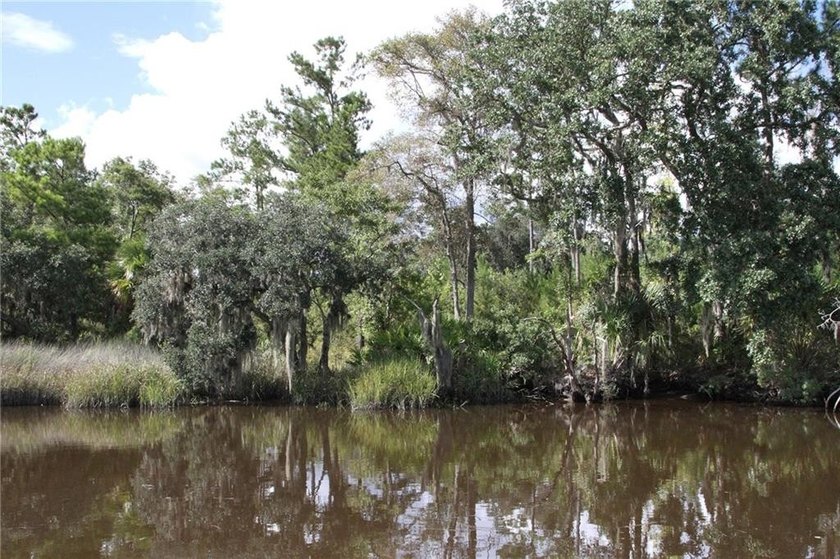 Rare Coastal Development Opportunity with River Access - 2,975 - photo 7