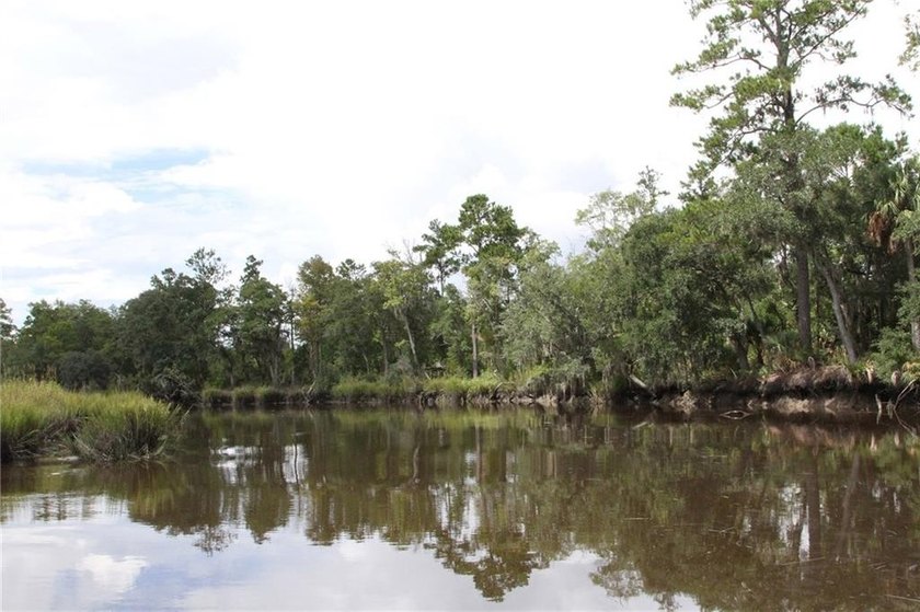 Rare Coastal Development Opportunity with River Access - 2,975 - photo 8