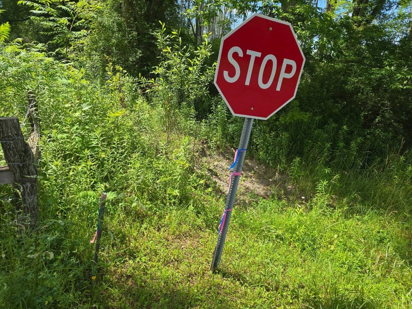 Affordable Parcel perfect for cabin or home site. 21+ acres to - photo 3
