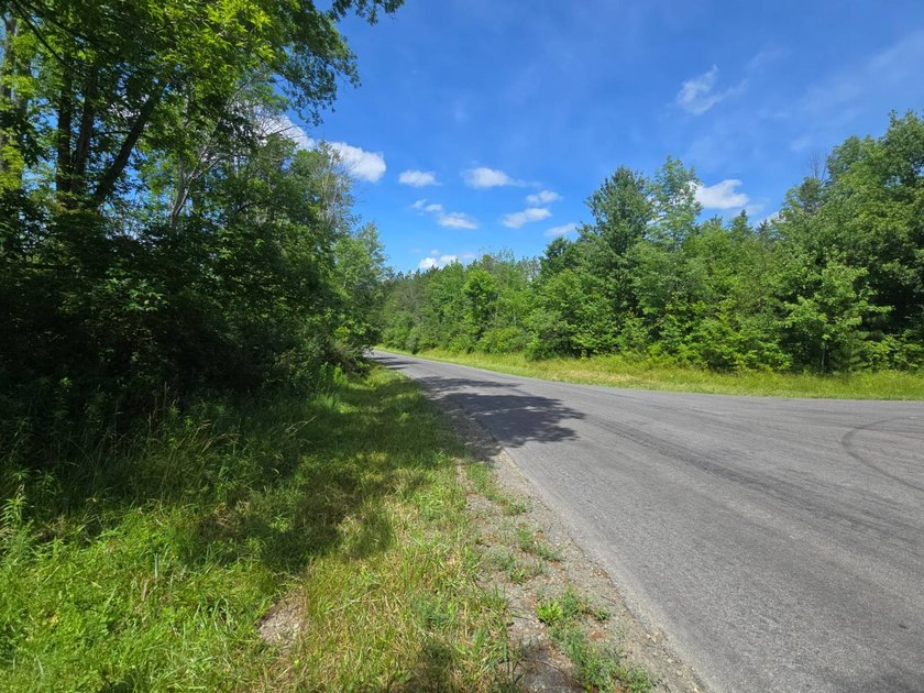 Affordable Parcel perfect for cabin or home site. 21+ acres to - photo 5